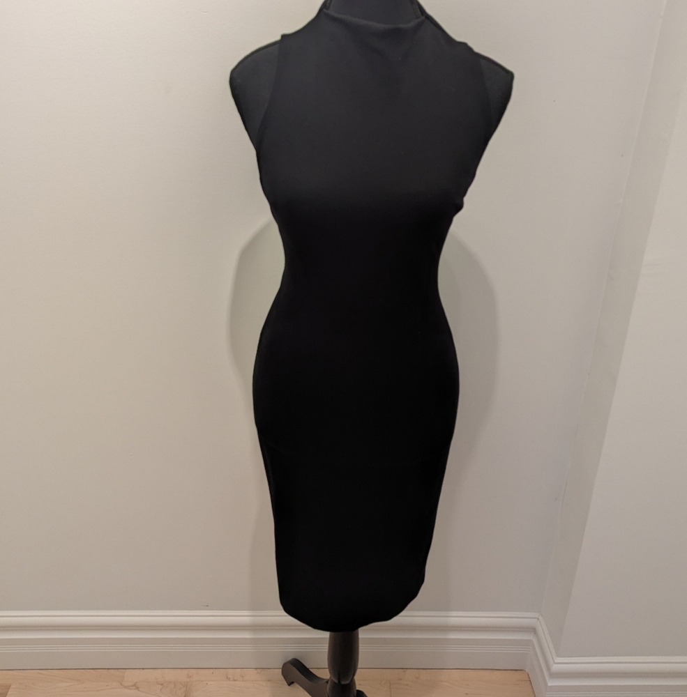 Babaton Classic Black Dress